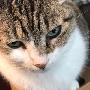 Meet your Posher, Malaena